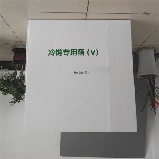 冷鏈中空板周轉(zhuǎn)箱