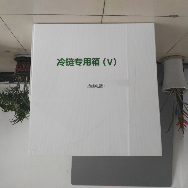 冷鏈中空板周轉箱
